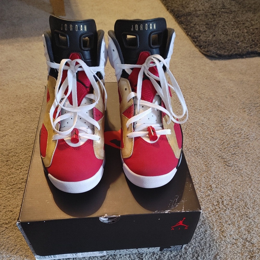 Jordan 6 Carmine Custom